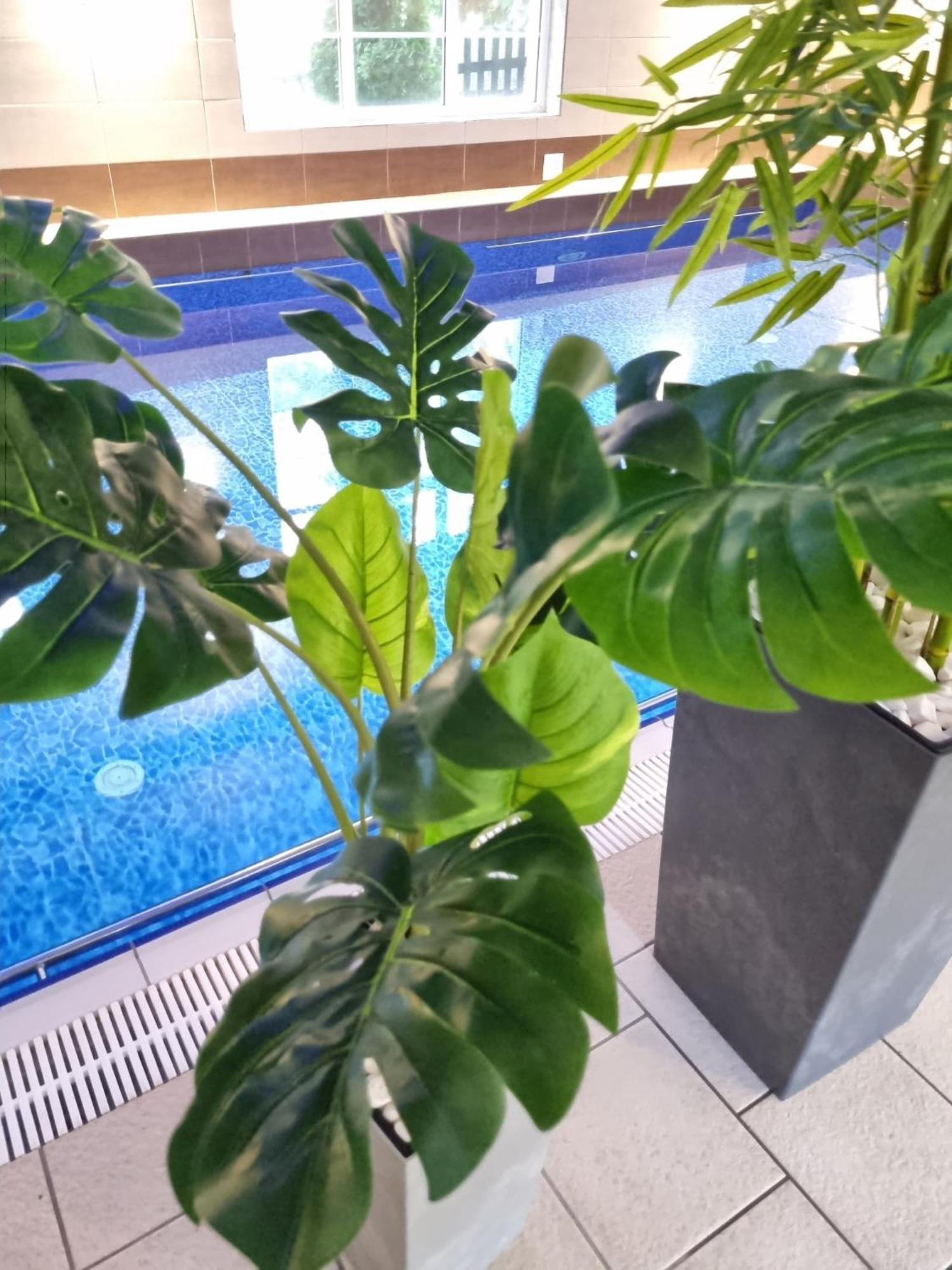 Rezydencja Niechorze Seaart Apartment Exterior foto